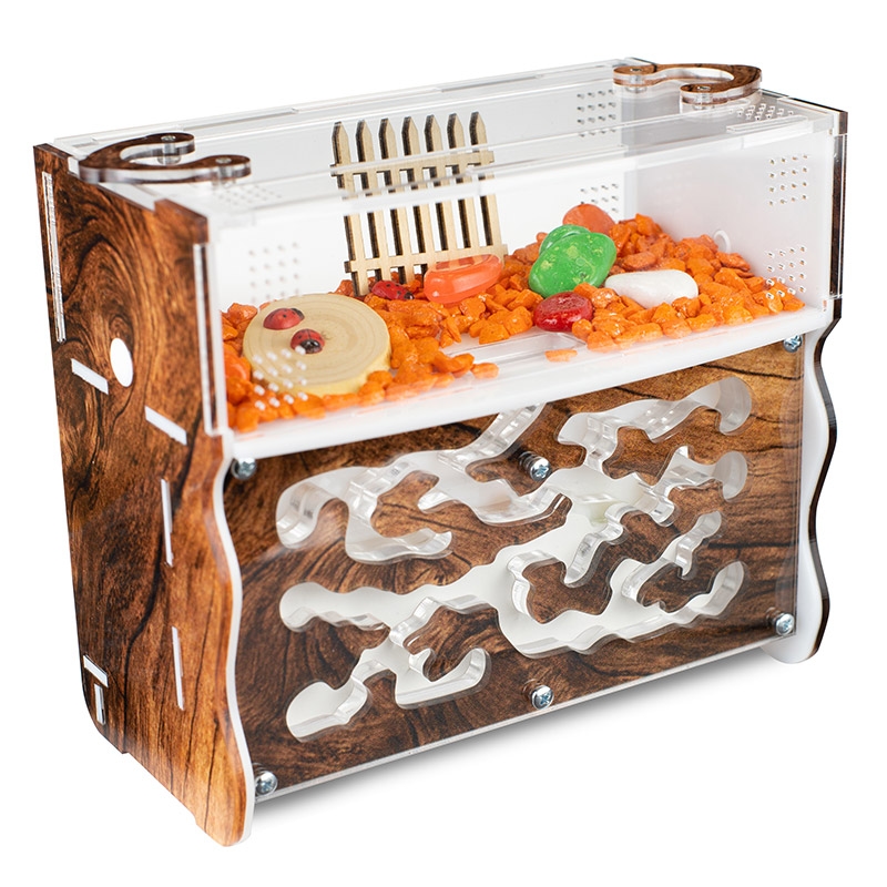 Муравьиная ферма