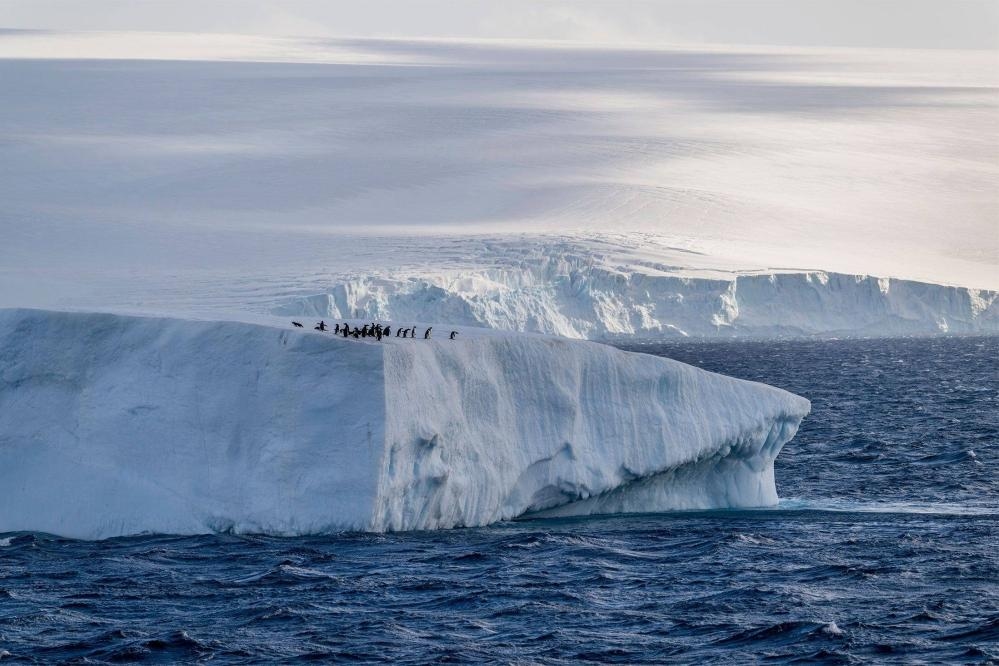 Фото: Getty Images / via bloomberg