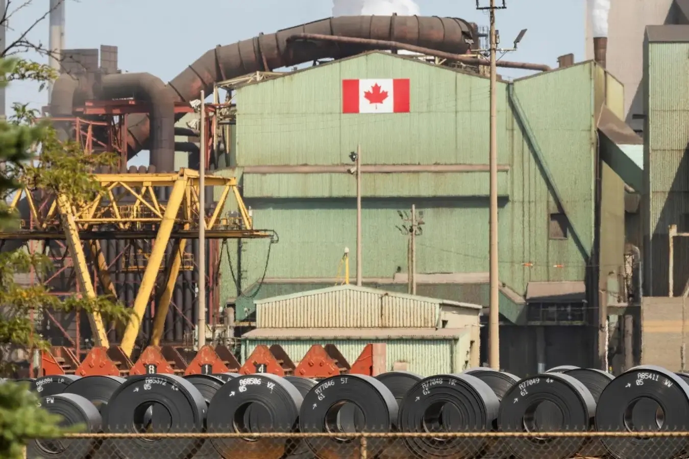 Фото: Nick Iwanyshyn /The Canadian Press via AP