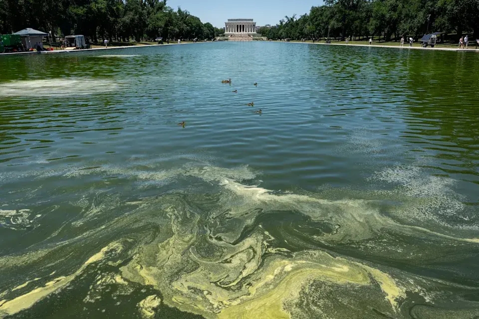 Фото: Eric Lee/Reuters