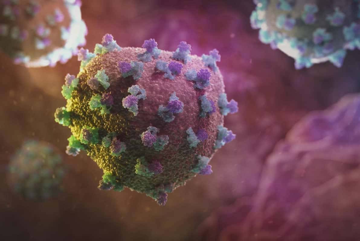 Чистка призового класса. Как шимпанзе, бактерии и смекалка ученых помогли открыть вирус гепатита С (и спасти миллионы жизней)