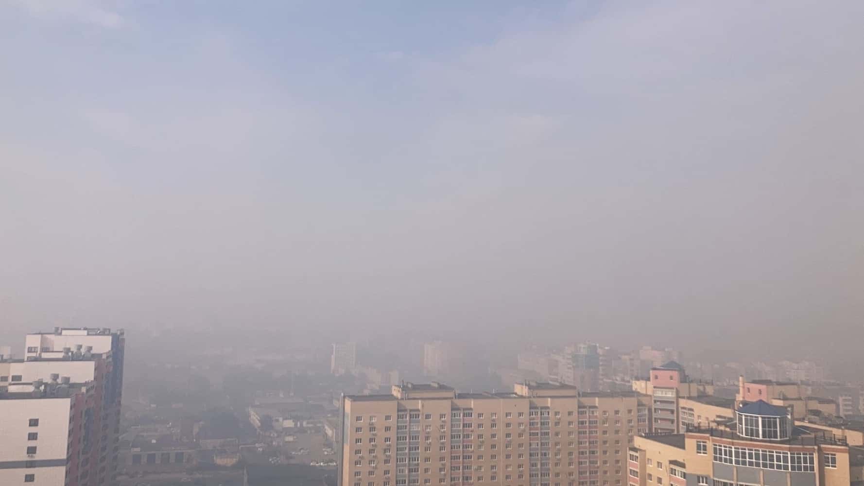 Рослесхоз: власти Рязанской области скрывали масштабы лесных пожаров и «упустили» ситуацию