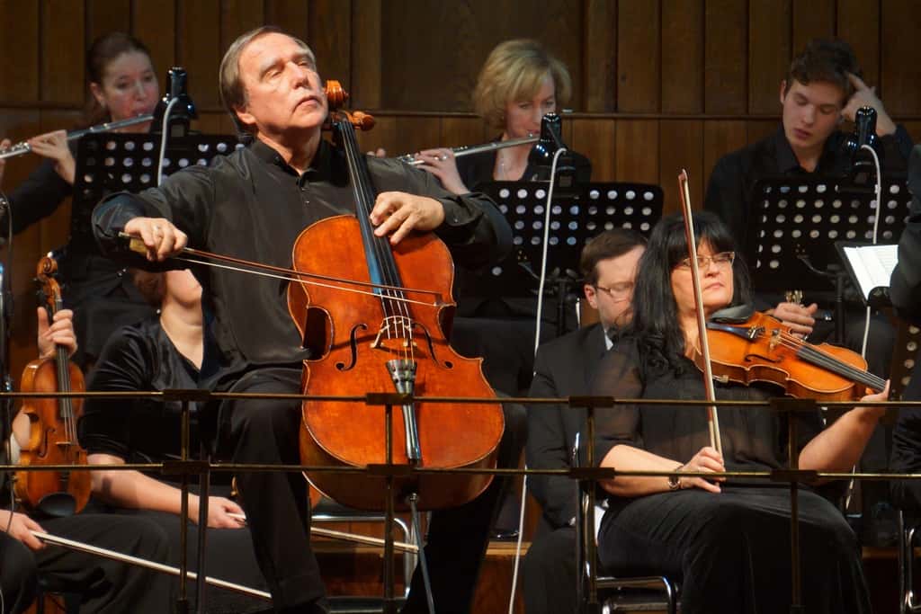 Пилите, Серёжа, пилите! Обнаружен новый записанный на виолончелиста Ролдугина путинский офшор, он засветился в вырубке Химкинского леса