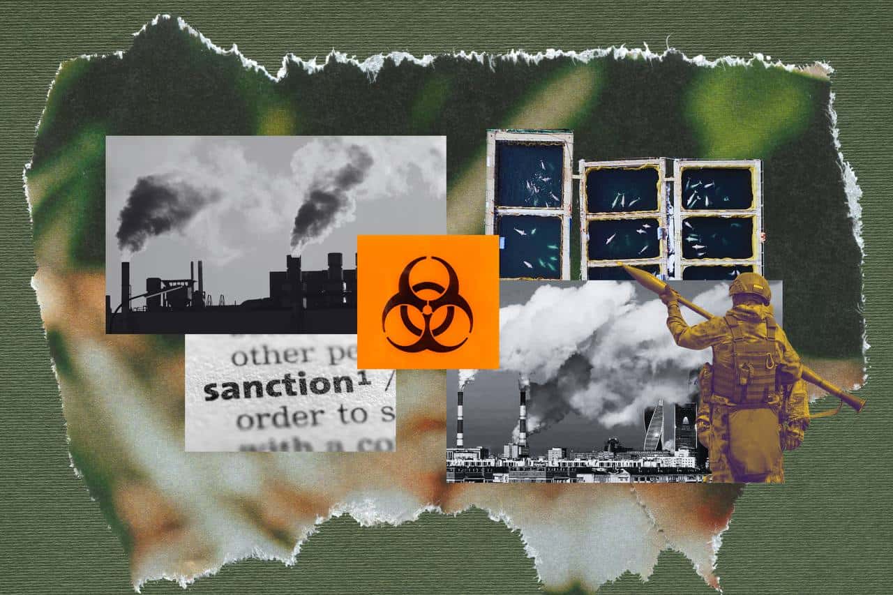 Природа цвета хаки. Как милитаризация российской экономики уничтожает экологию 