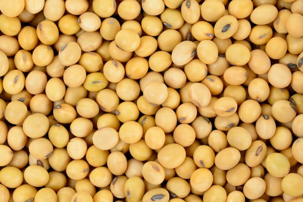 Кремлевские СМИ: Россия вытеснила США с китайского рынка сои. В реальности и Россию, и США оттуда вытеснила Бразилия