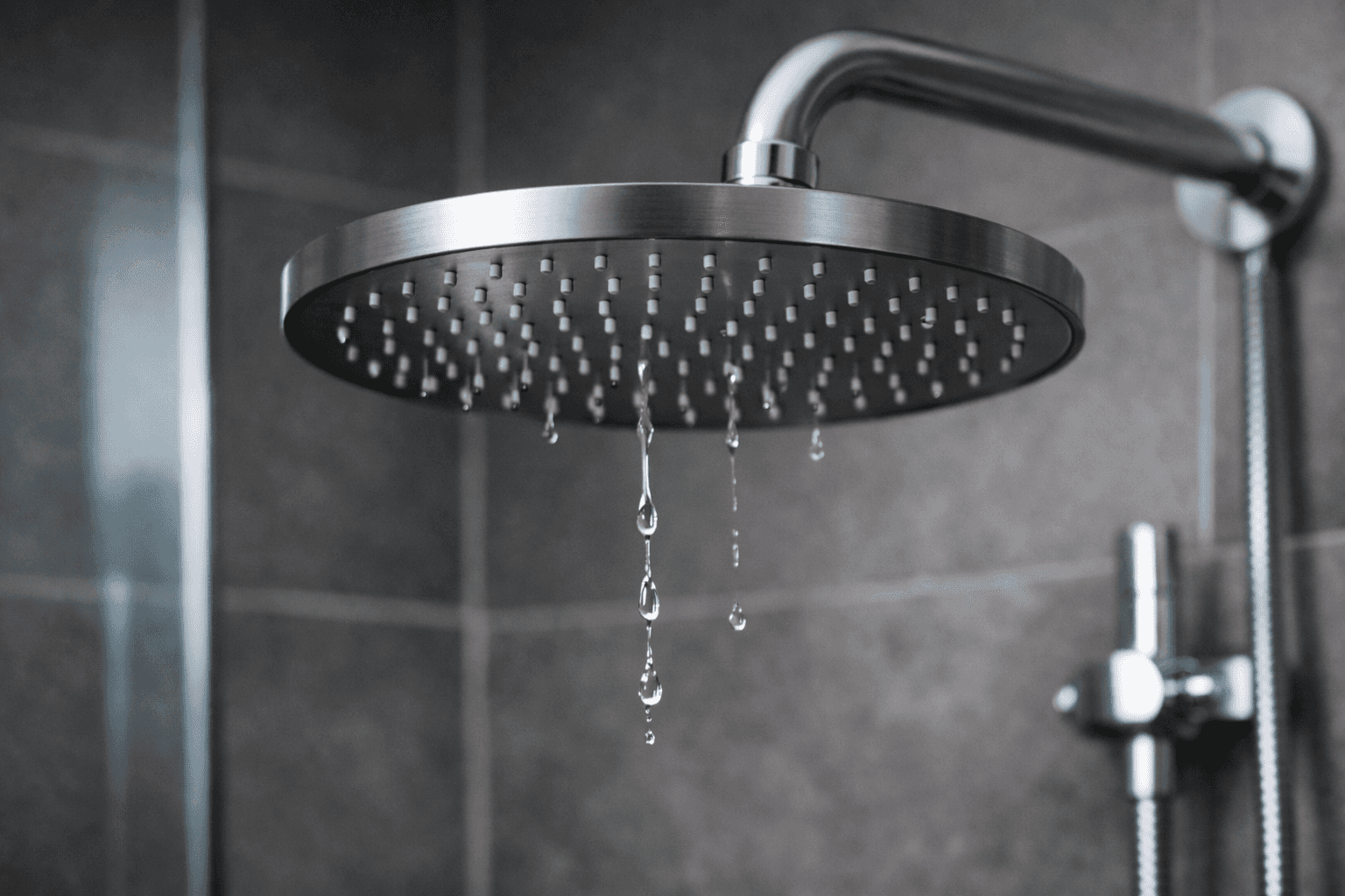 Фейк Марии Захаровой: в Нидерландах из-за «агрессии против Ирана и „энергооскопления Брюсселя”» советуют меньше принимать душ