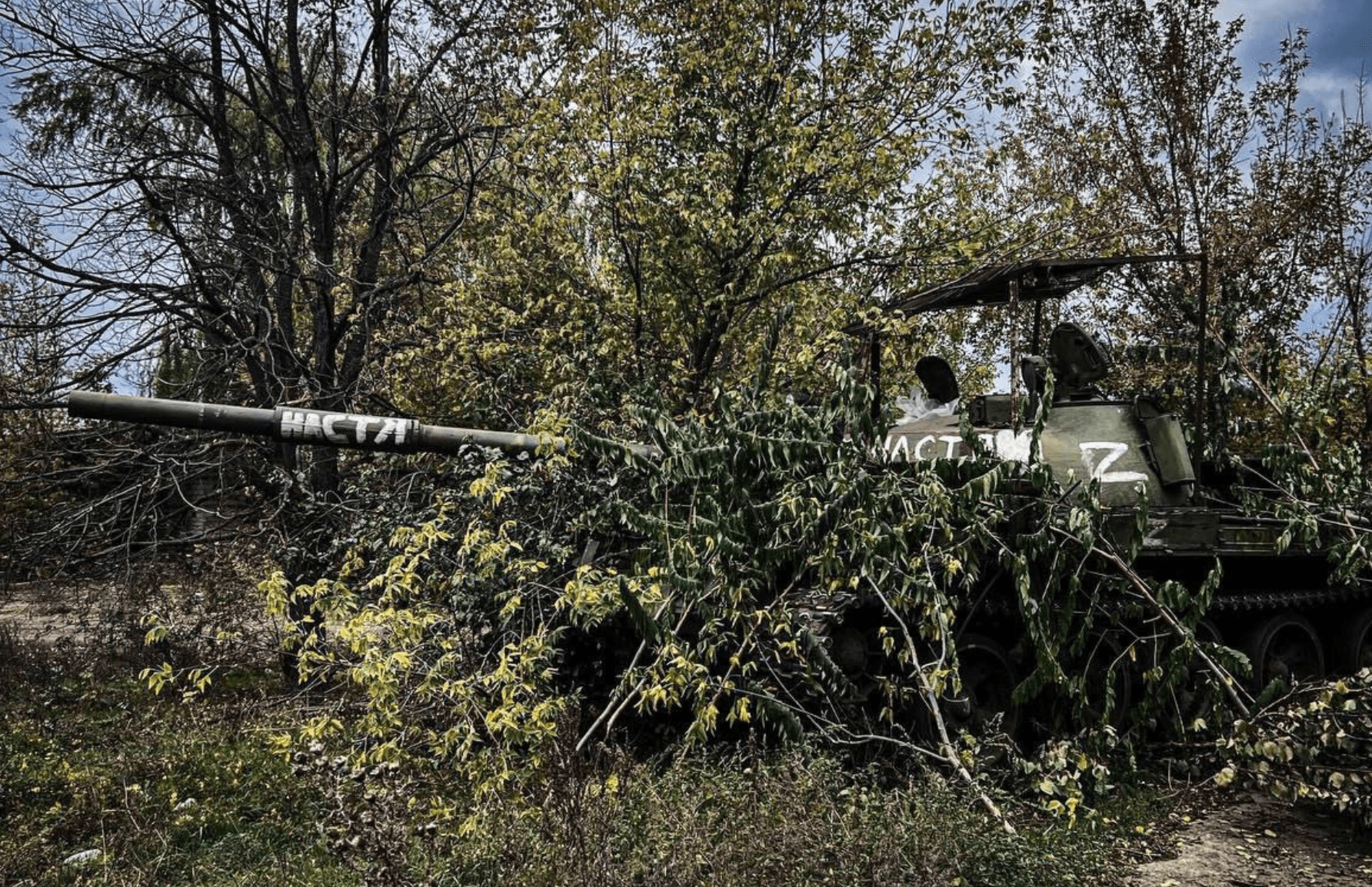 Изображение из галереи