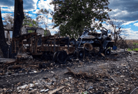 Миниатюра 3