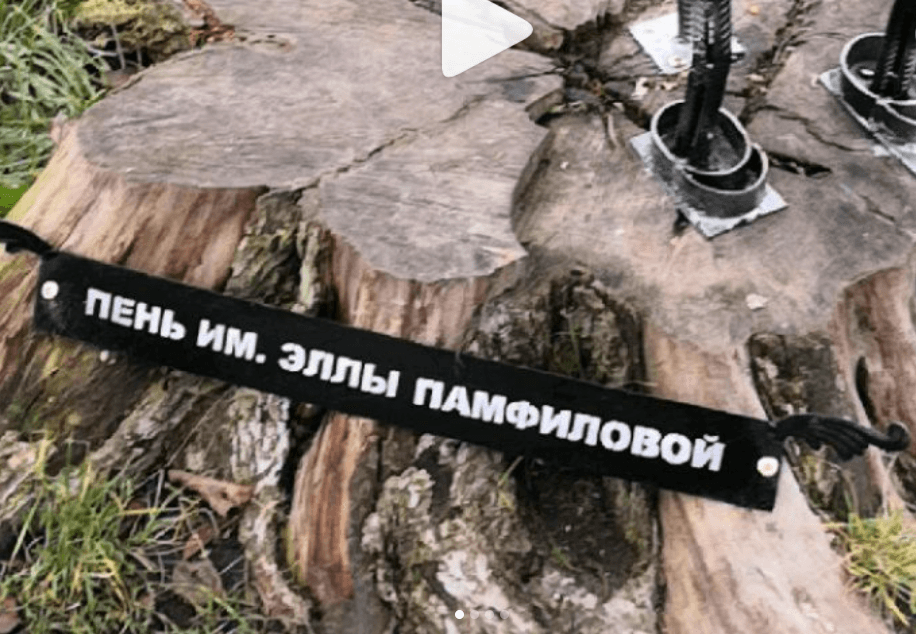 В Вологде появился пень имени Эллы Памфиловой