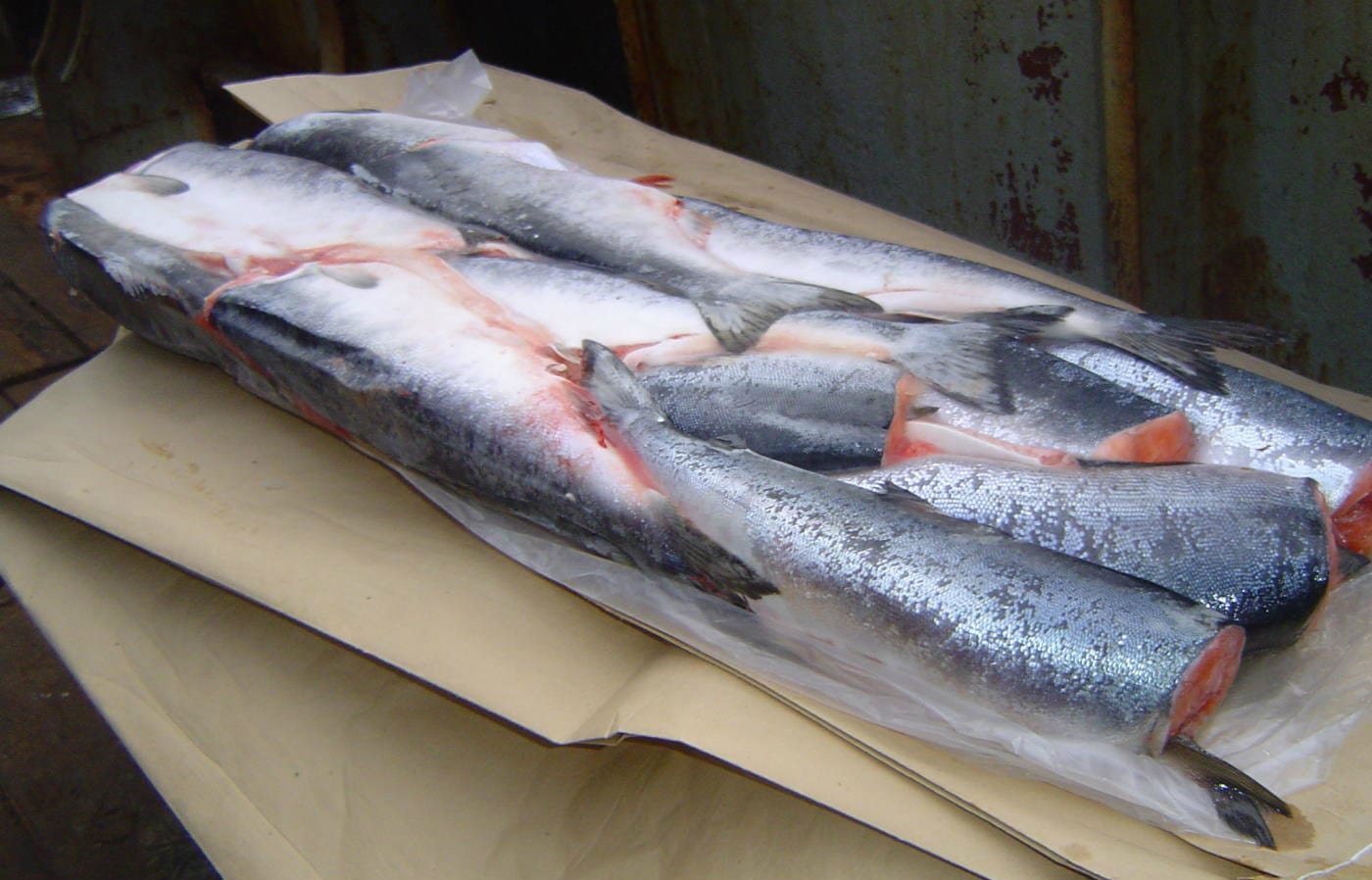 Семьям мобилизованных на Сахалине раздадут по 5 кг рыбы