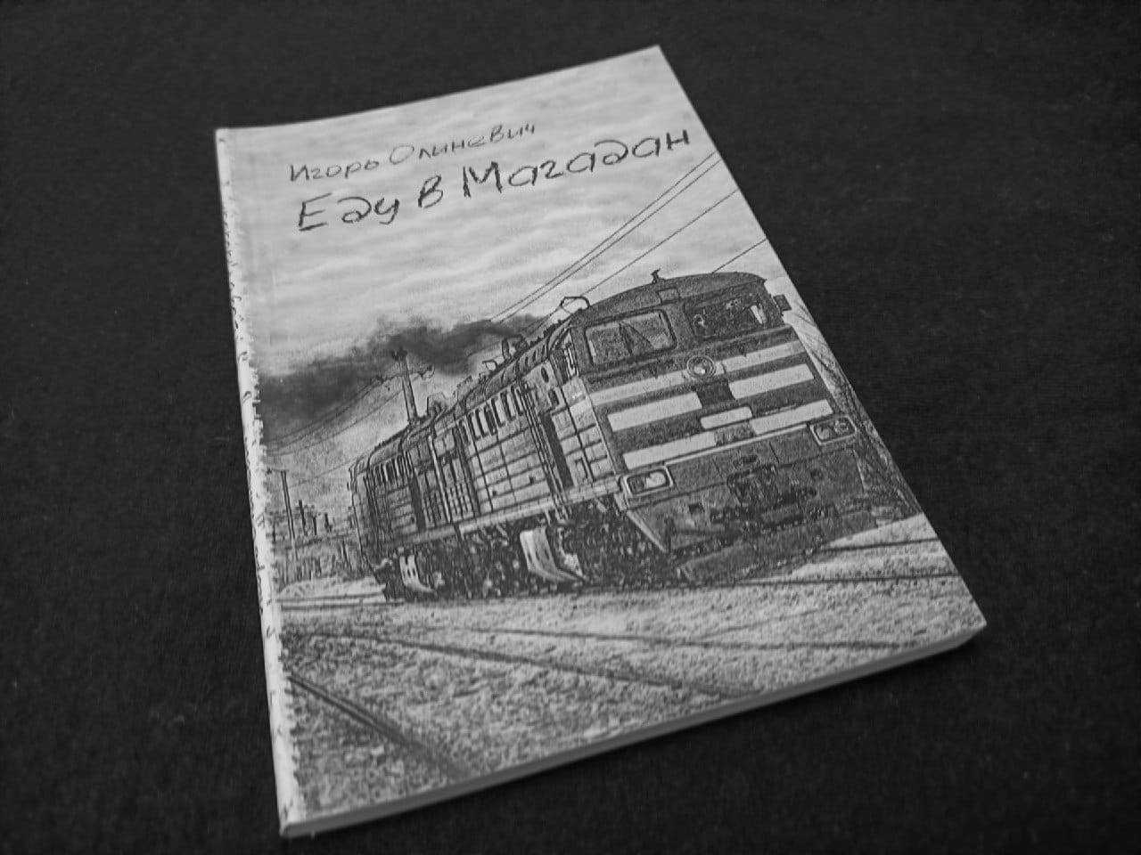 В Москве и Петербурге силовики использовали одну и ту же книгу для обвинения независимых книжных в связях с «нежелательной» организацией