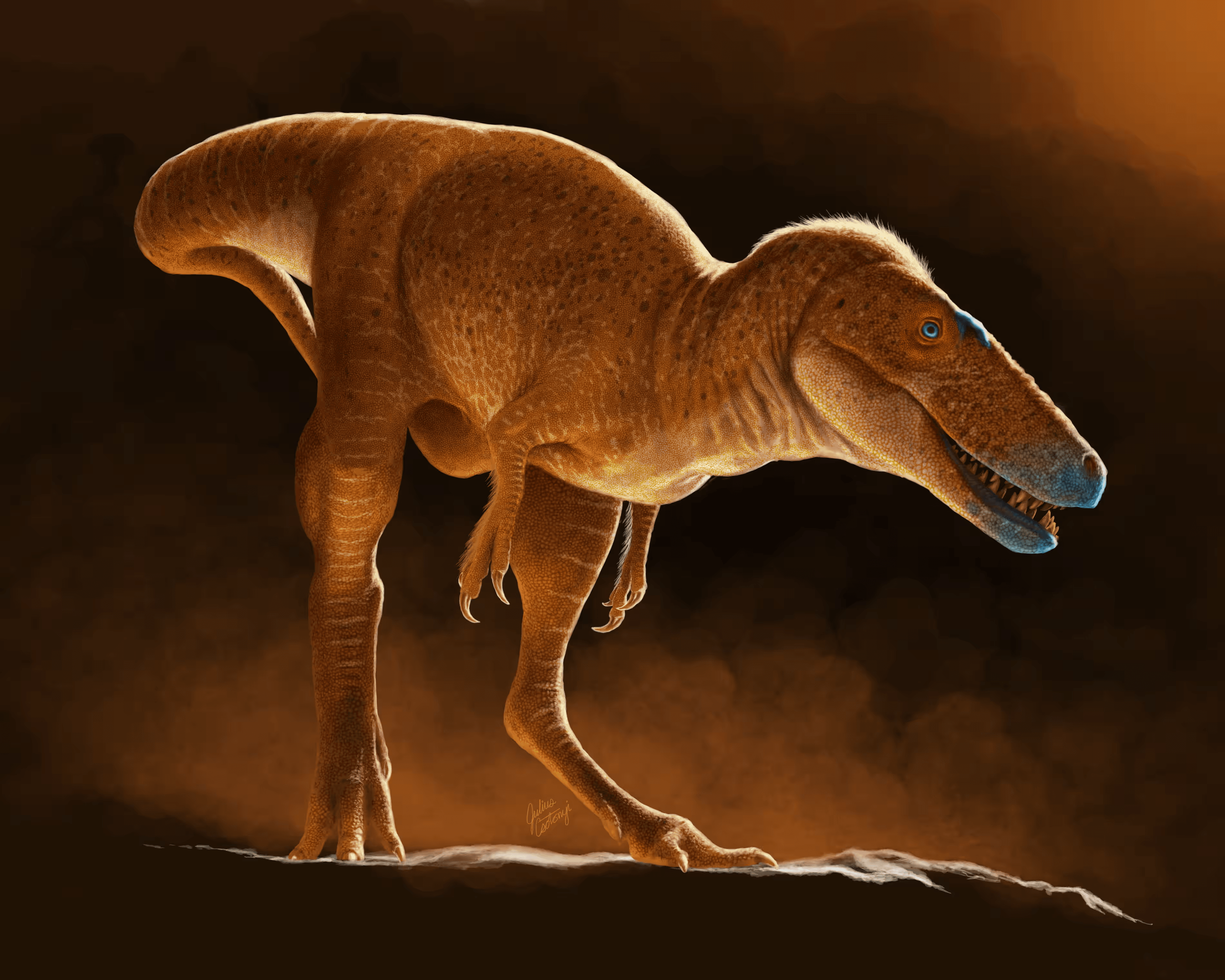 Ученые открыли новый вид динозавров — предка тираннозавра. Его назвали «Принцем драконов Монголии»