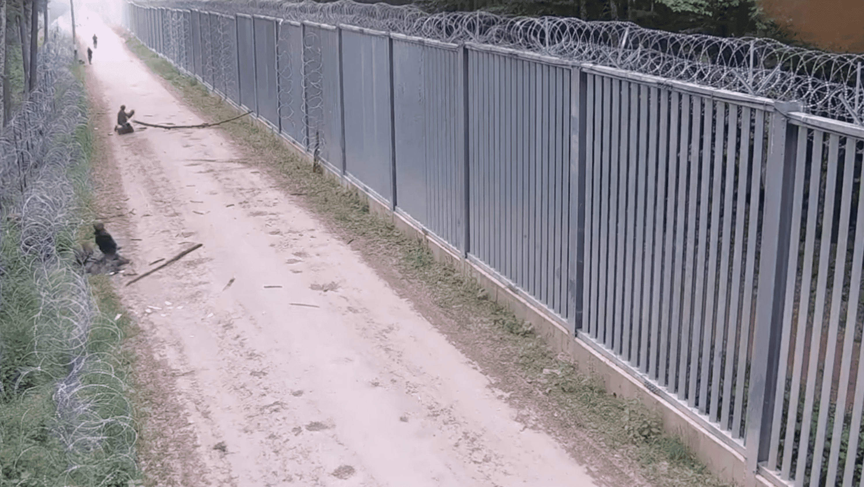 Польша планирует восстановить буферную зону на границе с Беларусью после нападения мигрантов на пограничников