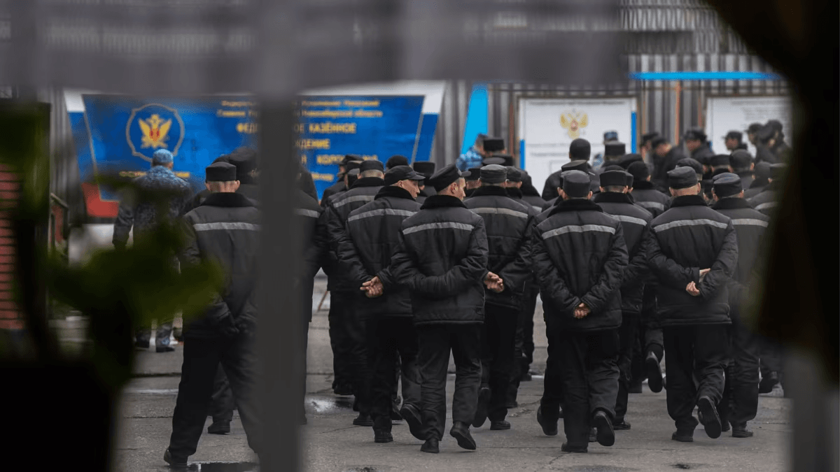 Иностранцам, находящимся в российских колониях, предлагают отбывать наказание на родине — «Важные истории»