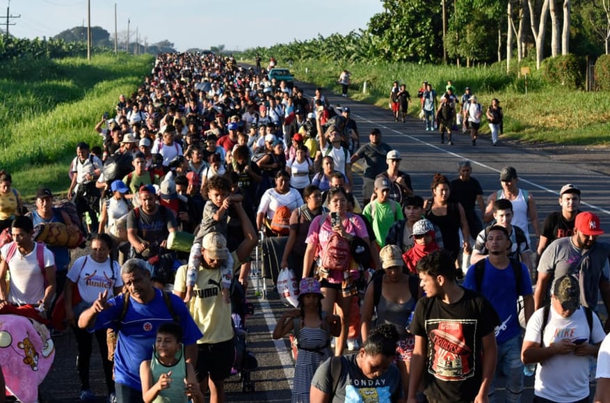 Careening towards extinction: Why developed economies cannot survive without immigrants