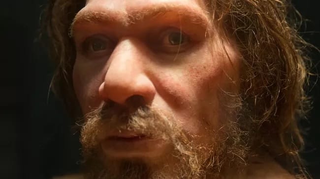 Ученые составили карту маршрутов миграции неандертальцев и объяснили их чрезвычайно быстрое расселение по Евразии