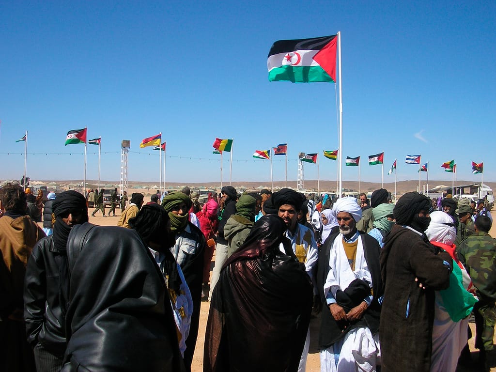 Global irresponsibility: The Trump-backed Western Sahara annexation sets a nasty precedent