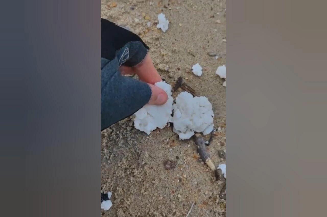 В Черном море зафиксировано новое загрязнение: к мазуту добавилось пальмовое масло. Волонтеры чистят километры побережья и спасают птиц