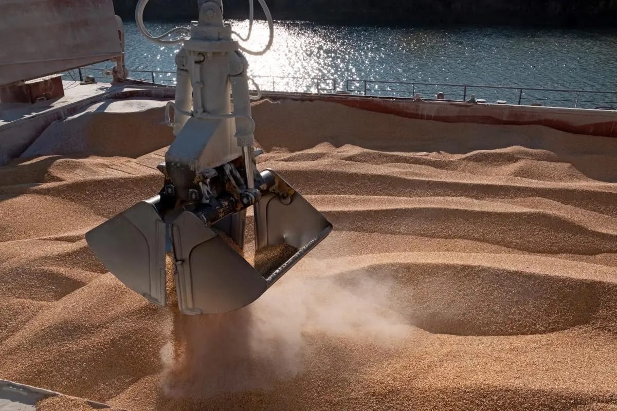 Grain of discord: How the grain scandal complicated relations between Ukraine and Israel
