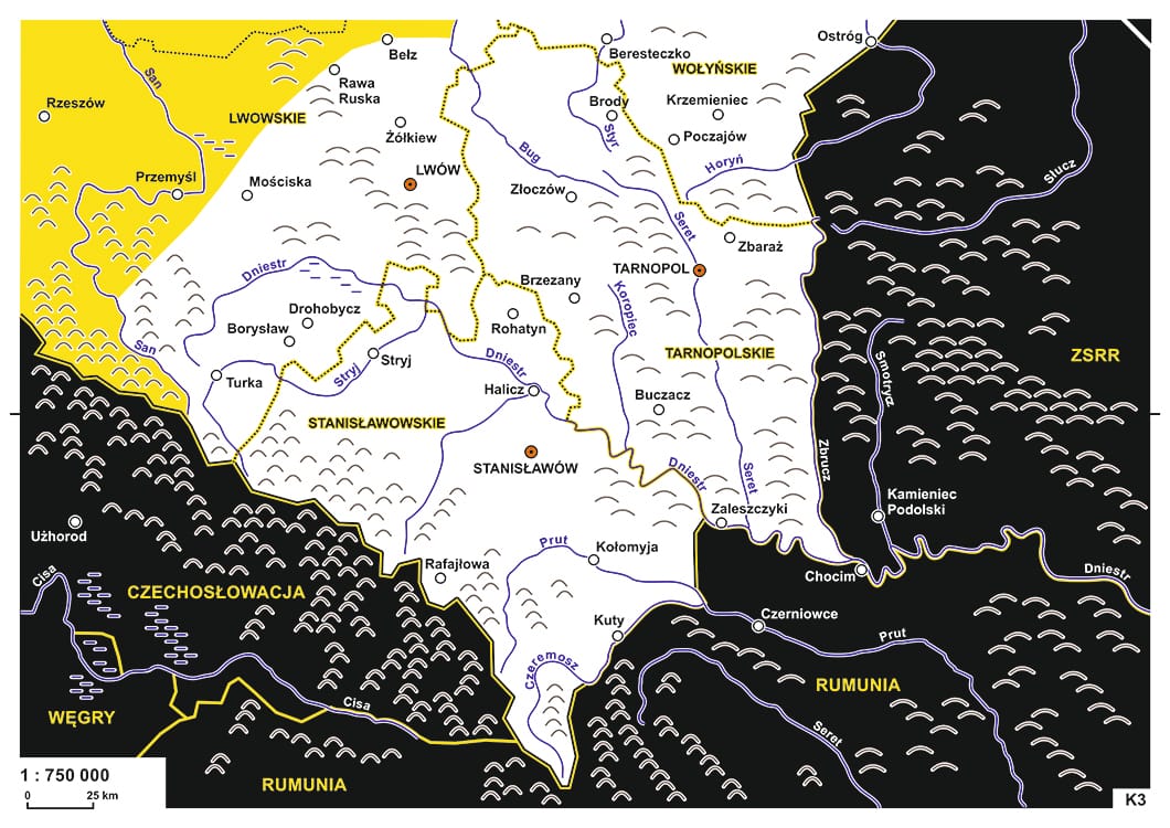 Новая жизнь старого фейка. ТАСС и белорусское телевидение сообщили, что Зеленский пообещал отдать Польше запад Украины