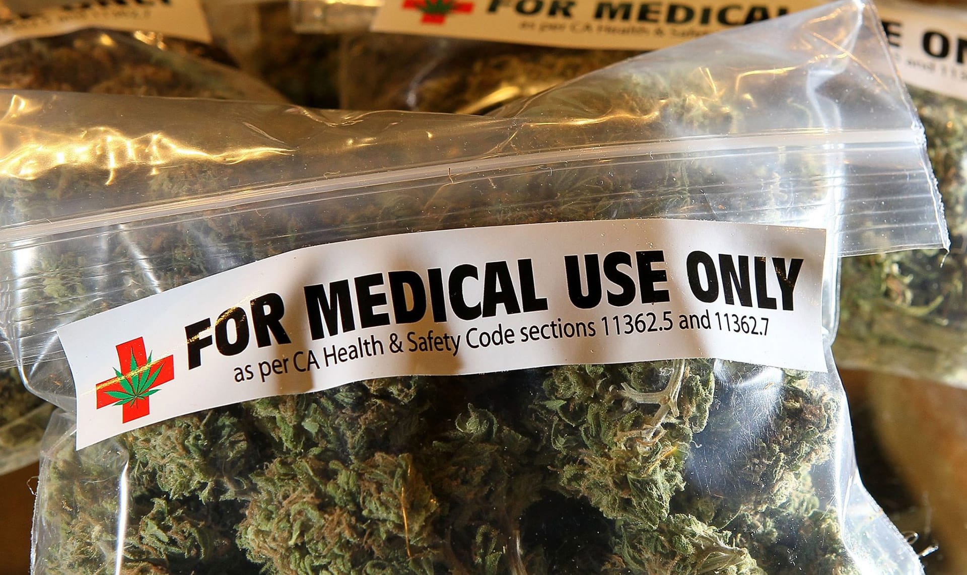 Получаемое из каннабиса вещество оказалось сильнейшим антибиотиком — исследование