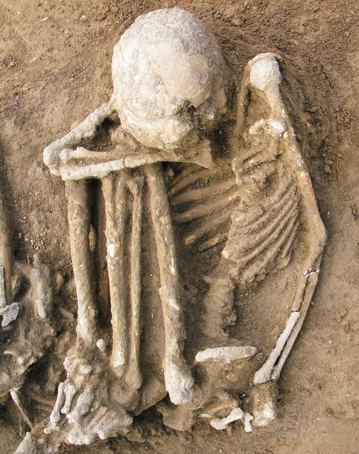 Фото: PNAS