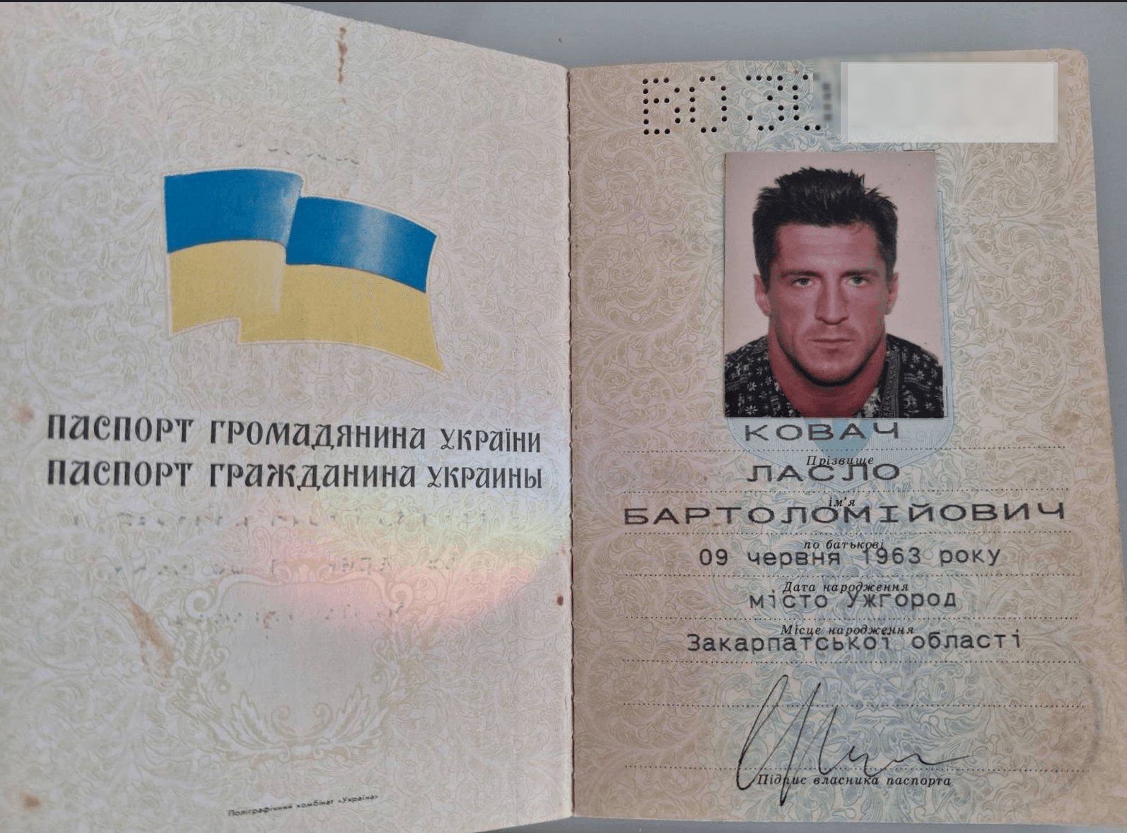 Изображение из галереи