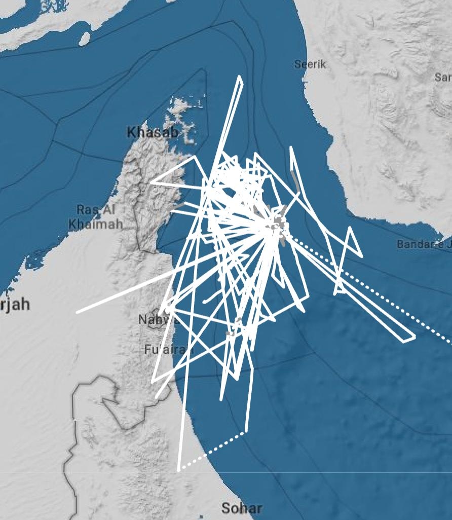 Данные о перемещениях танкера неполны: в районе Ормузского пролива его трек выглядит фрагментарным и хаотичным.