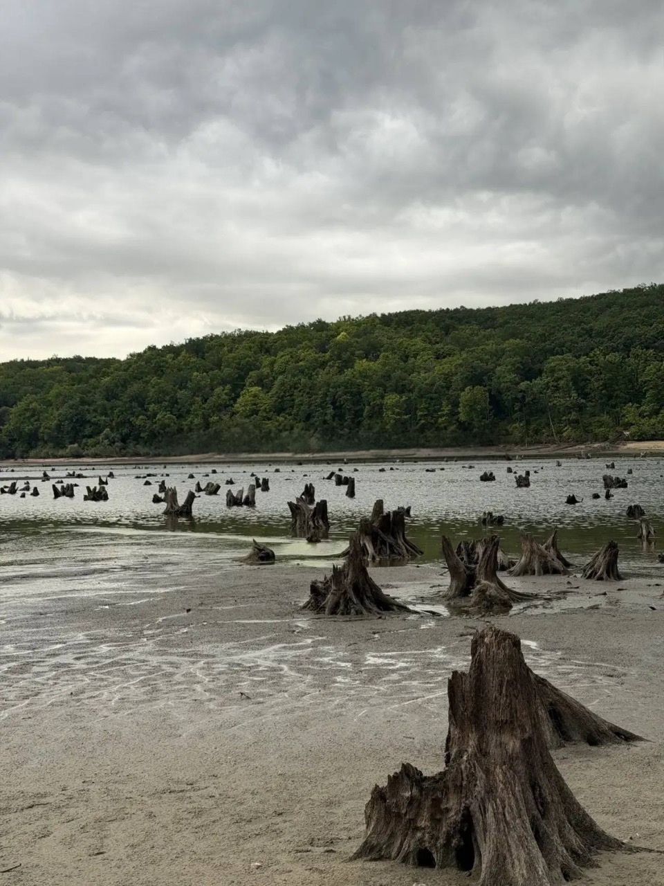 Белгородское водохранилище