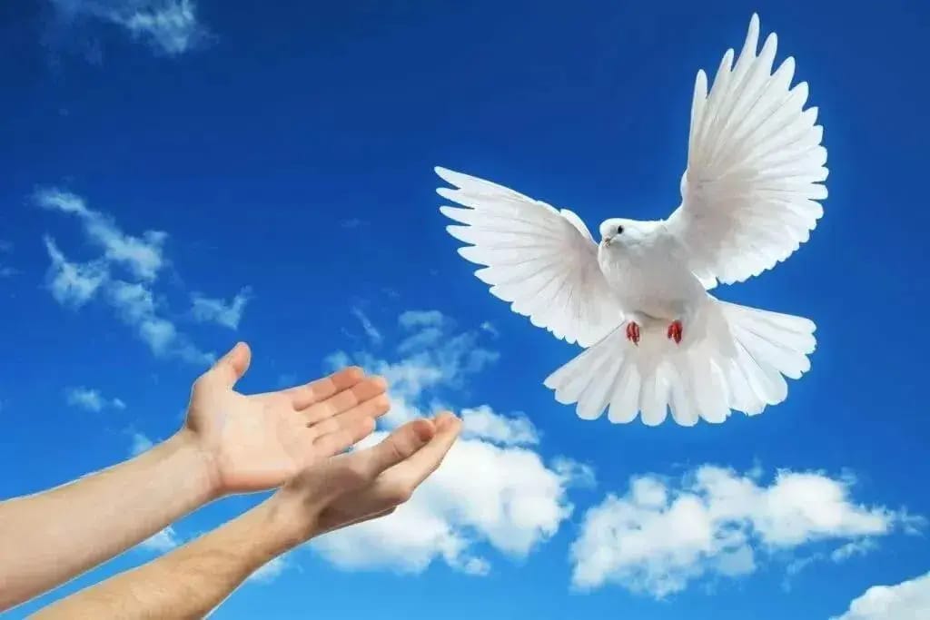 Votes for peace: Who in Russia is running for the State Duma on an anti-war platform in 2026