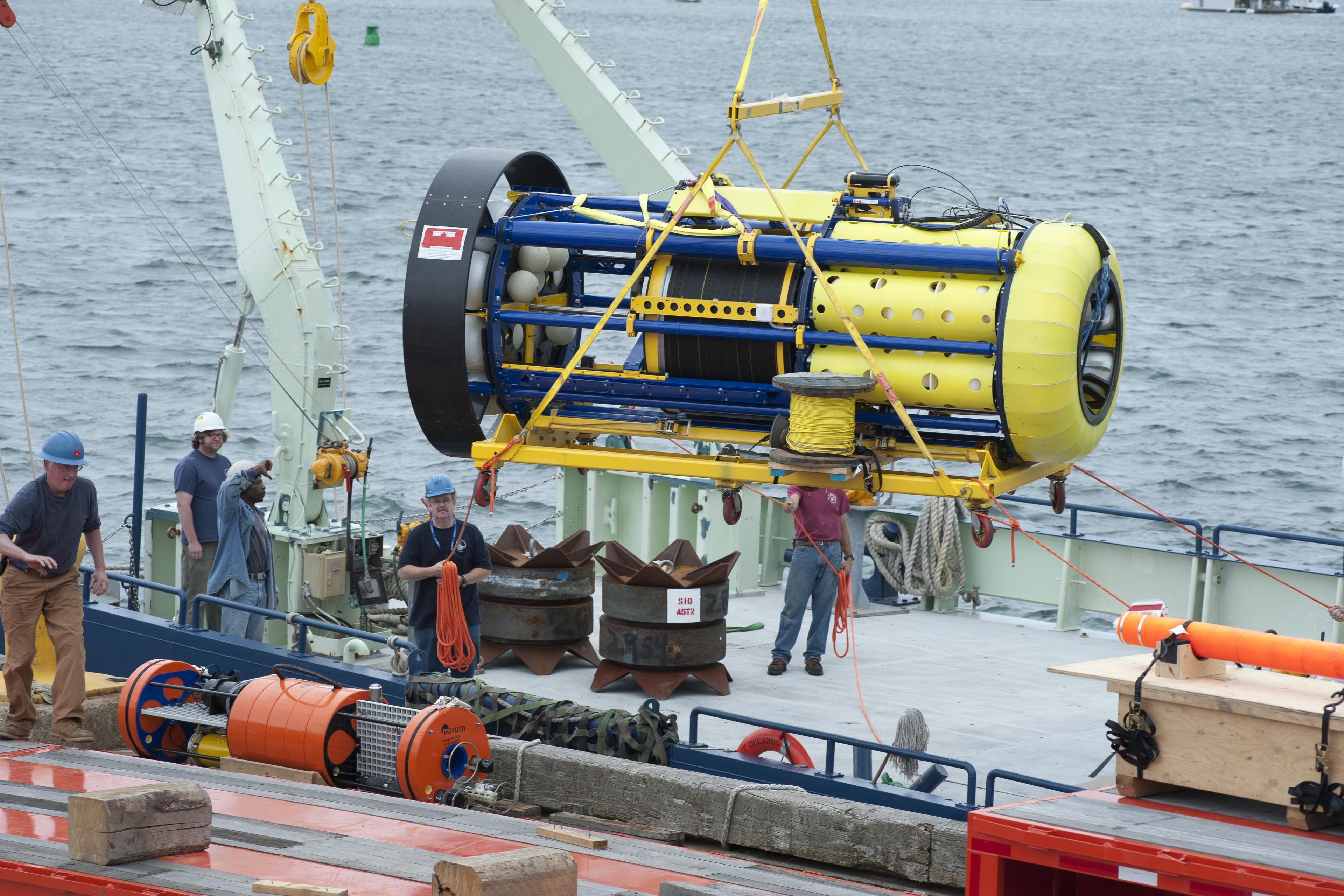 Фото: Tom Kleindinst, Woods Hole Oceanographic Institution