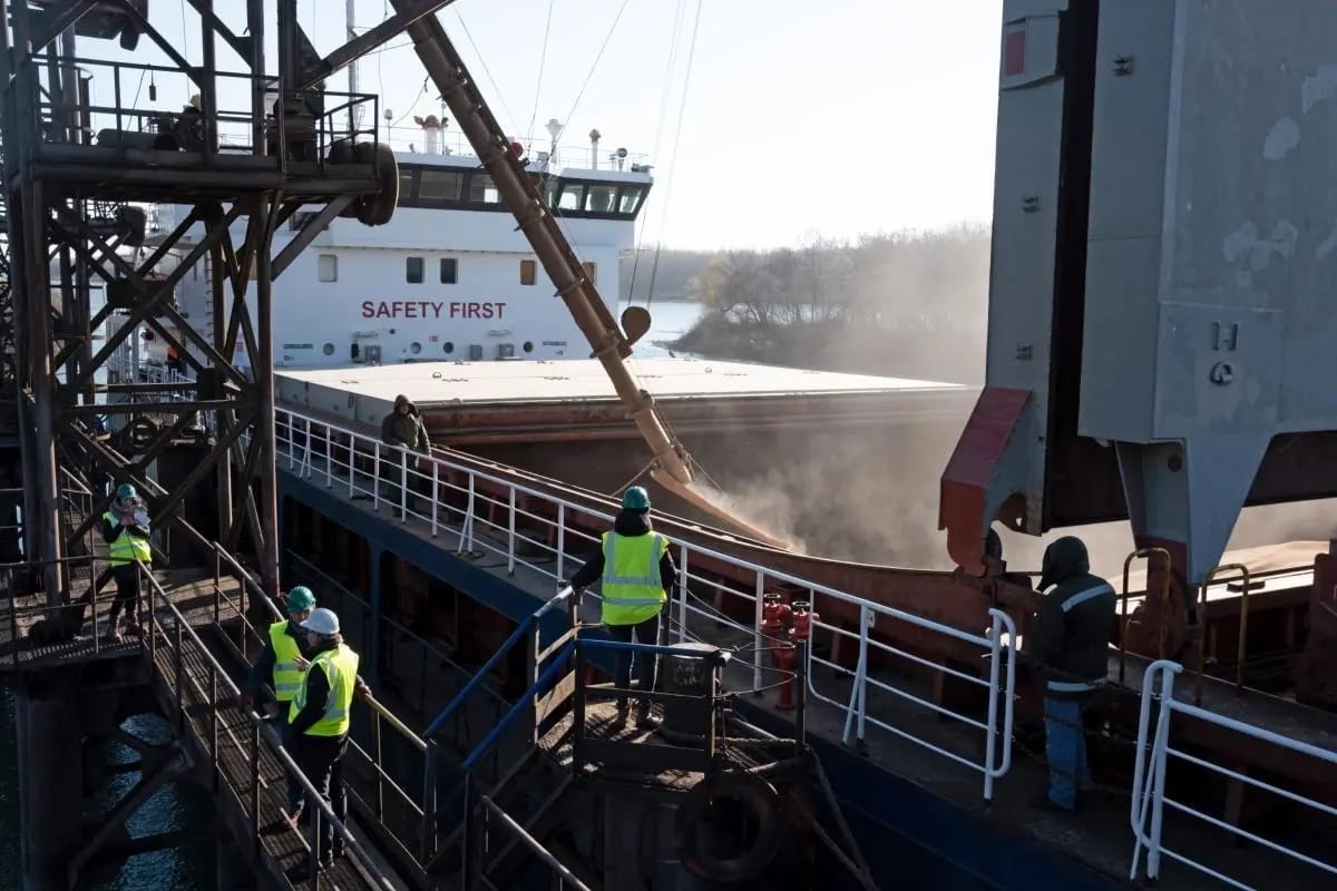 Courts vs. ships: Ukraine is trying to stop illegal wheat exports from Russian-occupied territories