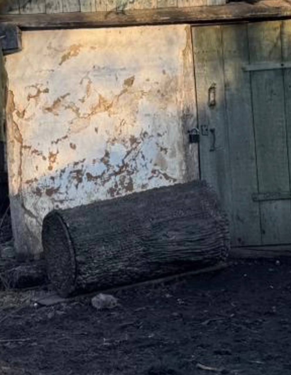 Замаскированный под бревно украинский терминал Starlink 