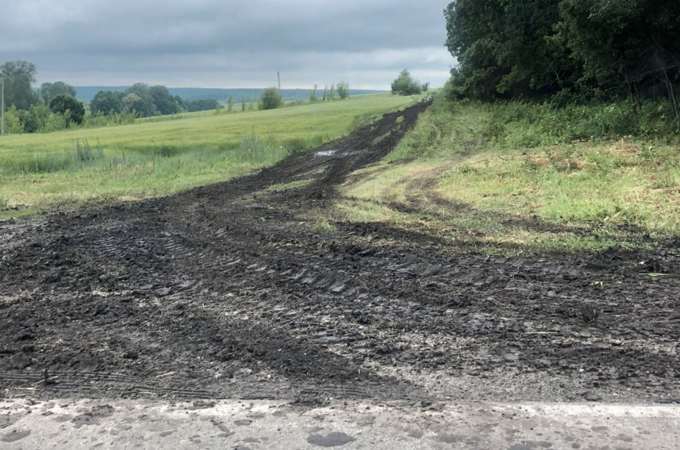 Shebekino district. A road after the passage of military vehicles