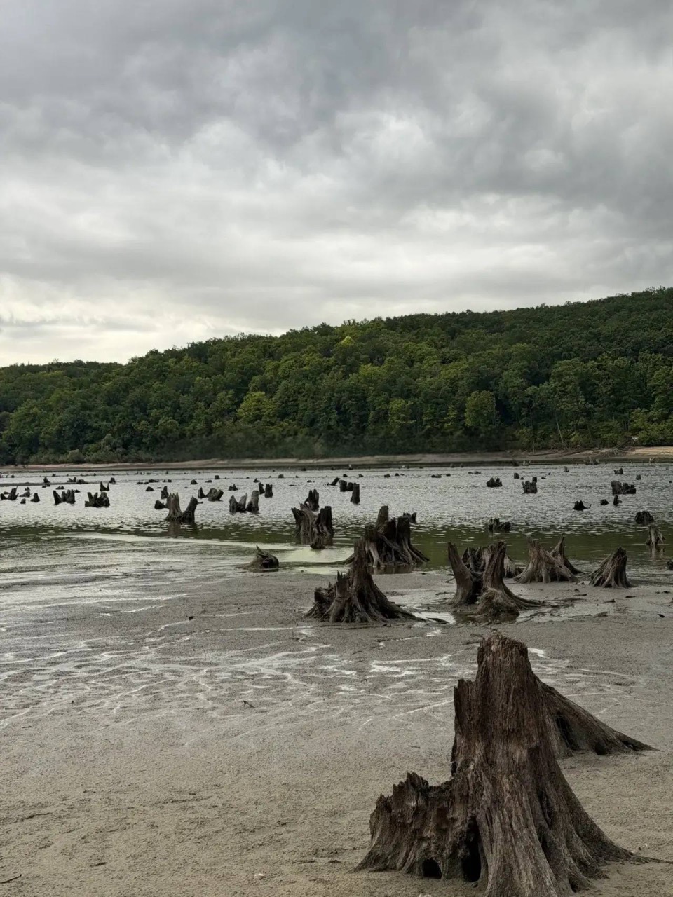 Белгородское водохранилище