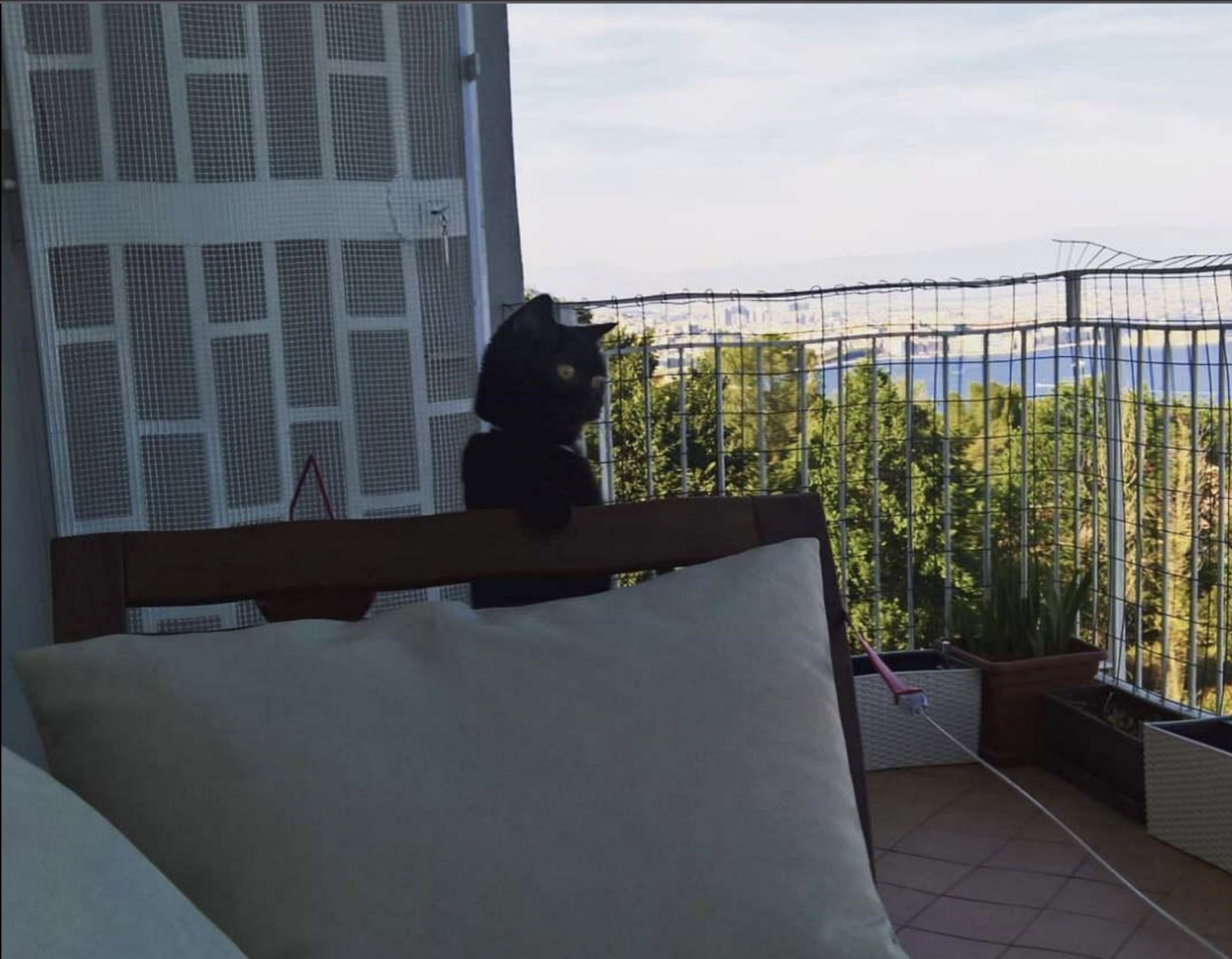 Source: Maria “Adela's” Instagram