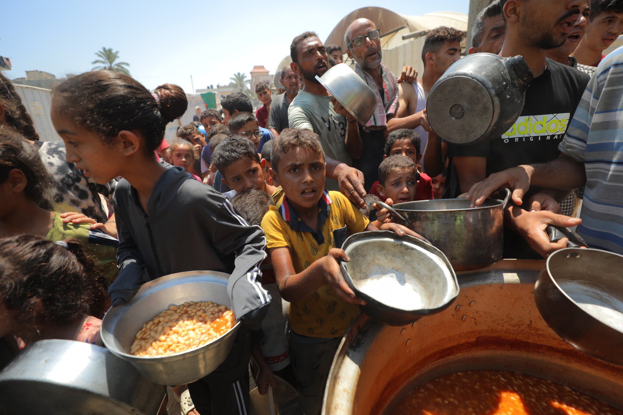 Volunteers Distribute Food to Palestinians in the Gaza Strip