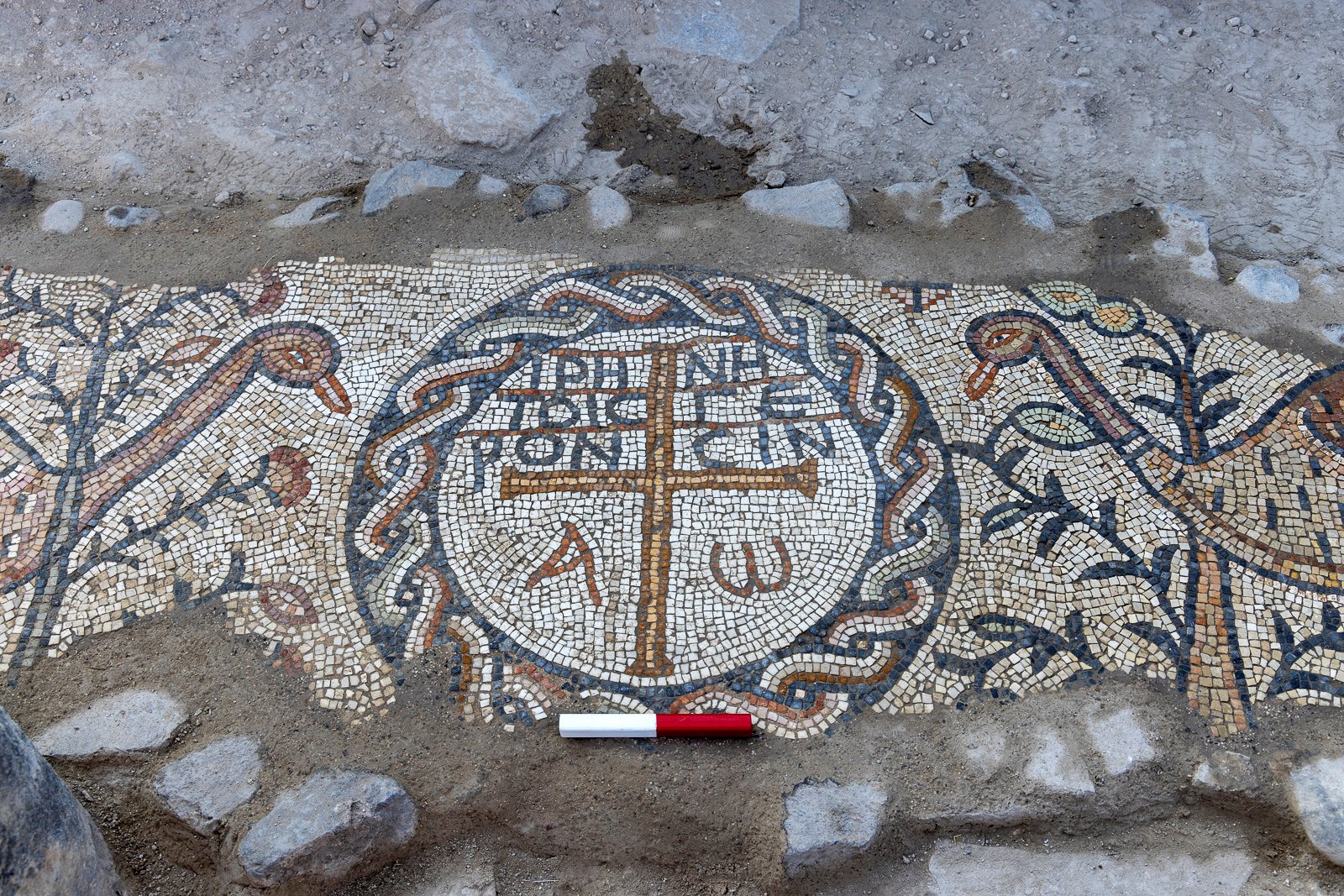 Фото: Dr. Michael Eisenberg