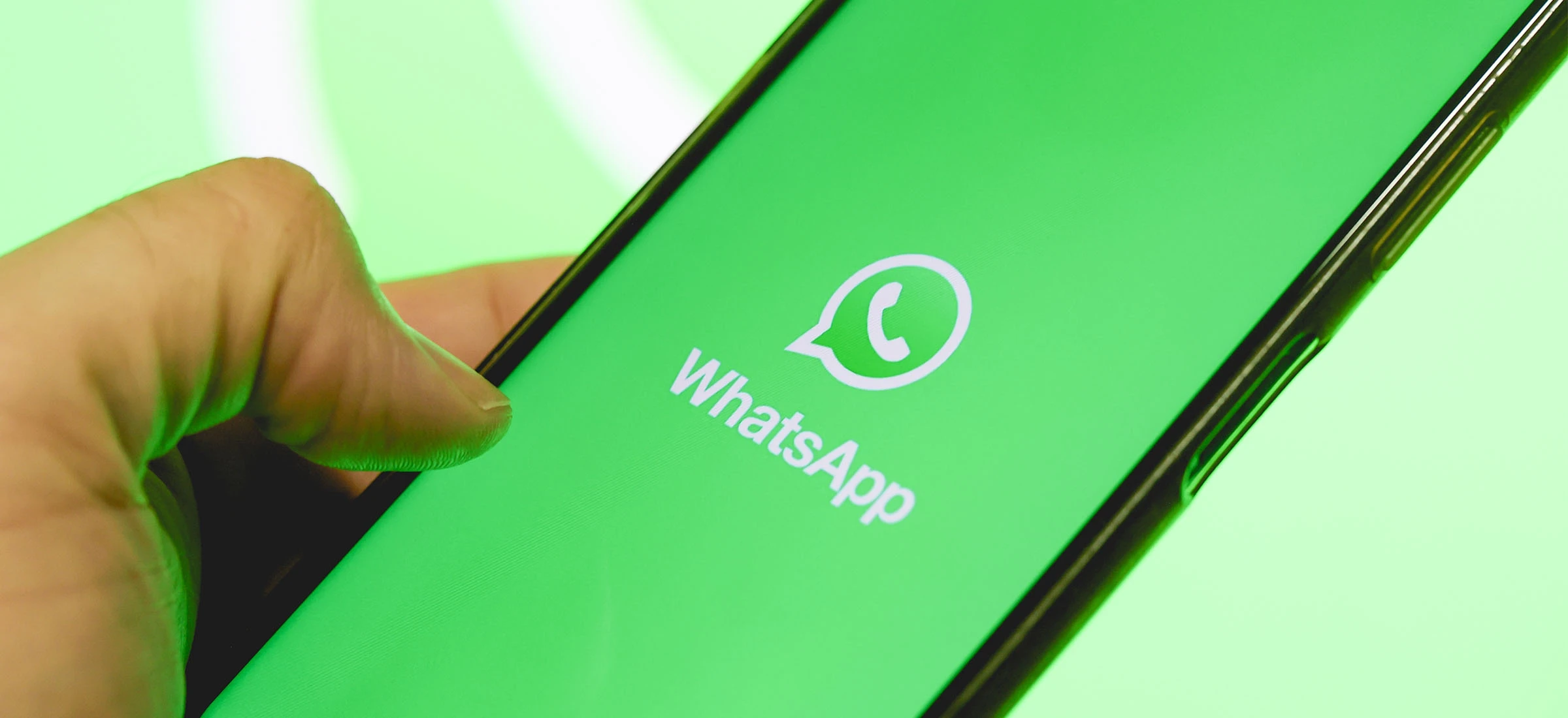 Фото: Spider’s Web