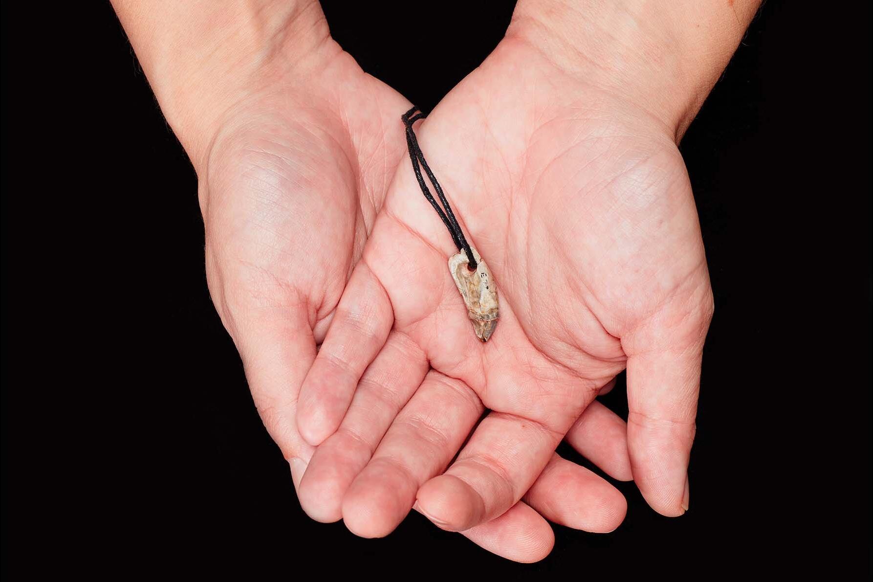 Фото: The Trustees of the Natural History Museum